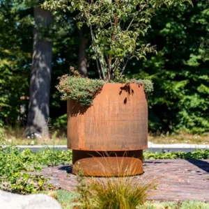 Corten stål plantning af Disa