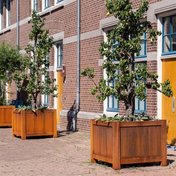 Corten steel planter York